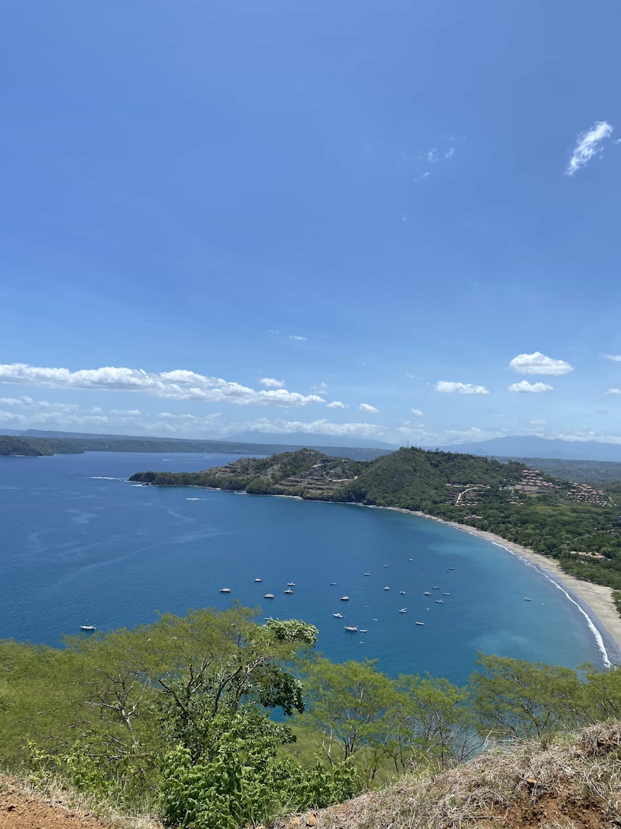 Tropical landscape.